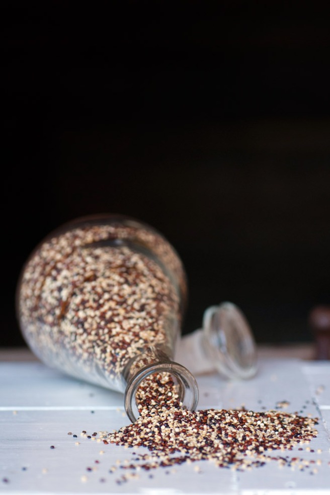 Quinoa. Foto: Lise von Krogh ©